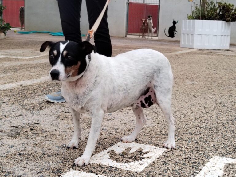 multimedia-foto89555-888-1