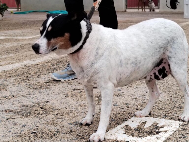 multimedia-foto89556-889-1