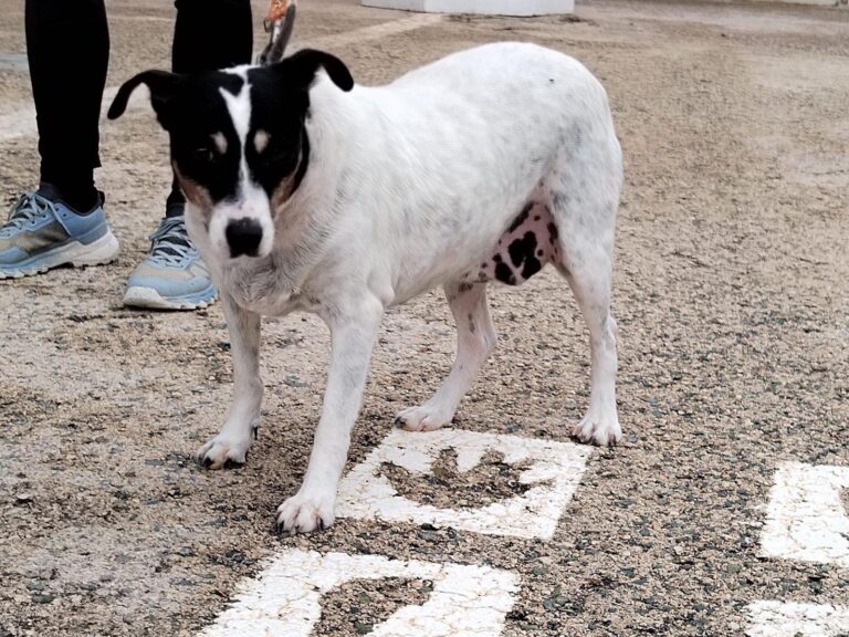 multimedia-foto89557-889-1