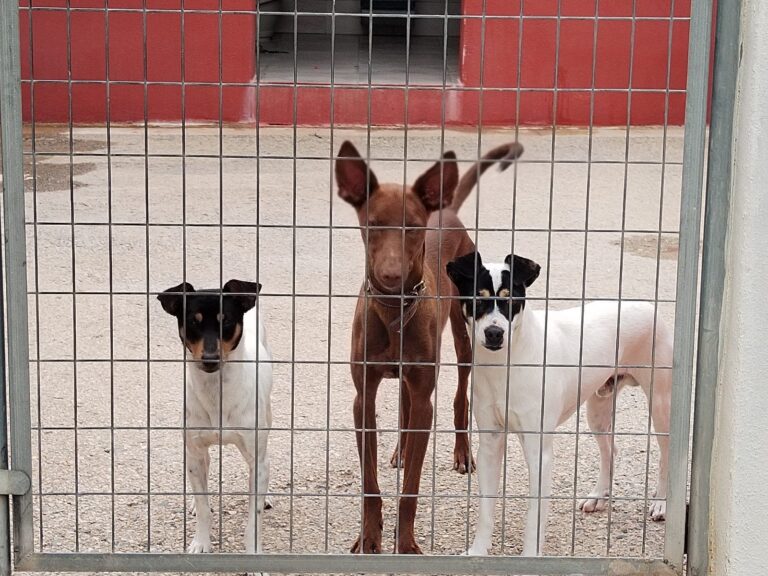 multimedia-foto89559-302-1