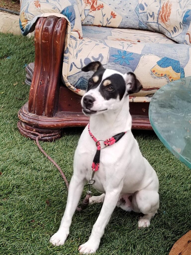 multimedia-foto89560-302-1