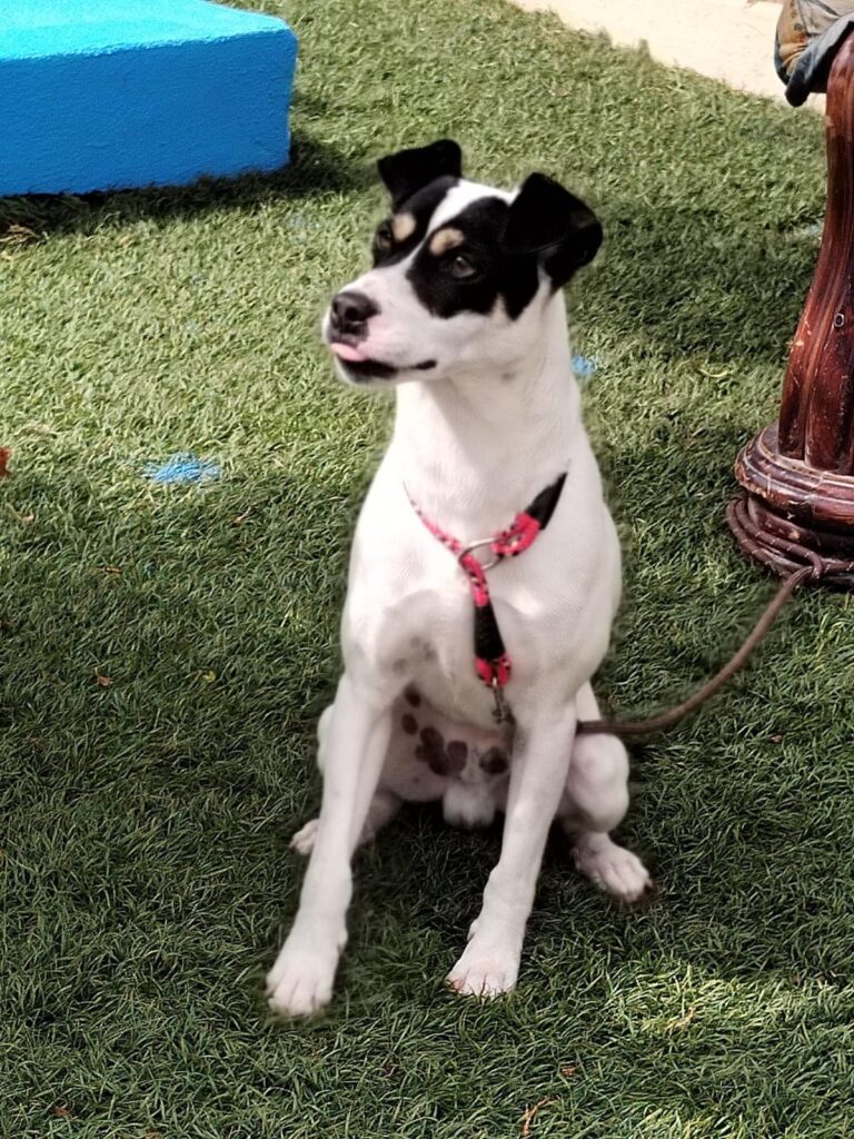 multimedia-foto89562-303-1