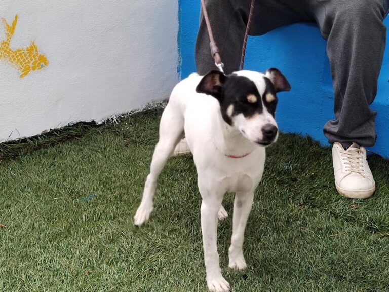 multimedia-foto89563-303-1