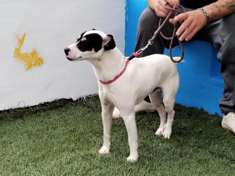 multimedia-foto89564-303-1