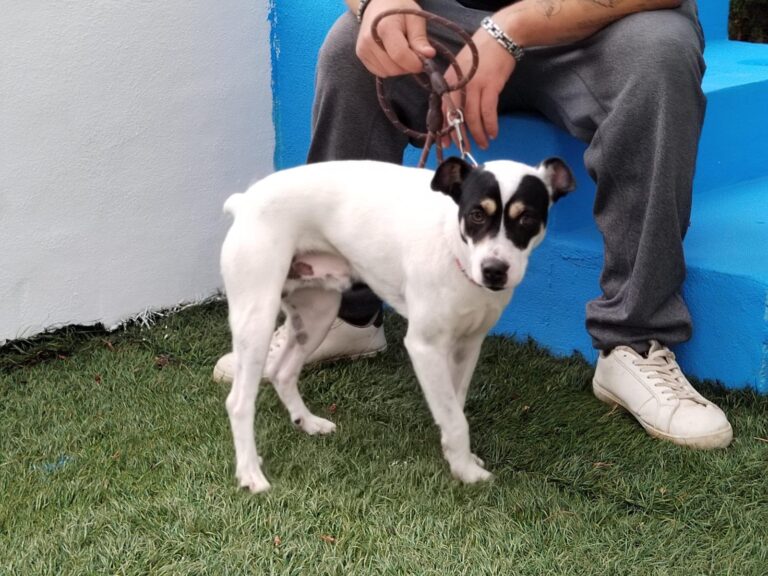 multimedia-foto89565-304-1