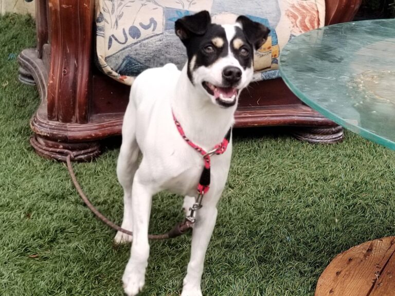 multimedia-foto89566-304-1