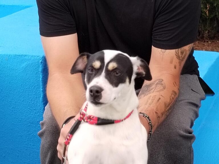 multimedia-foto89567-304-1