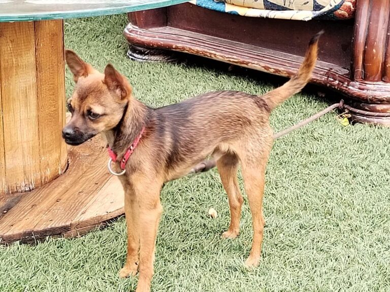 multimedia-foto89602-195-1