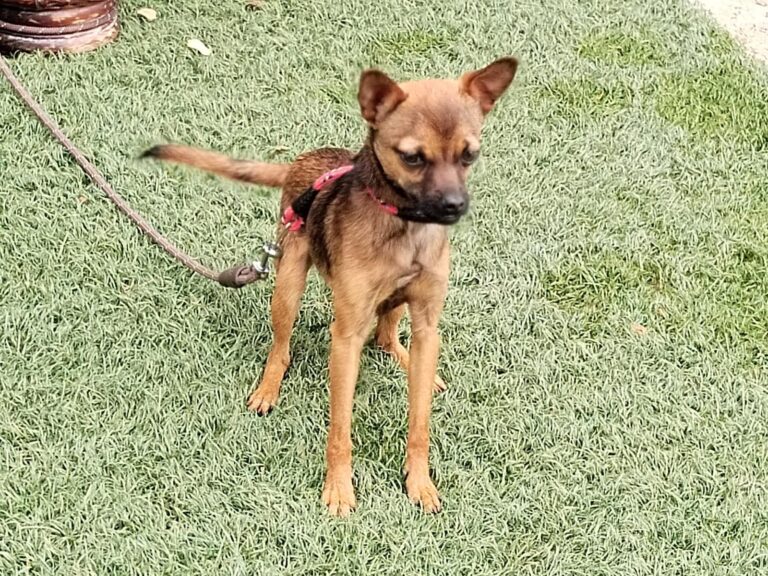 multimedia-foto89603-195-1