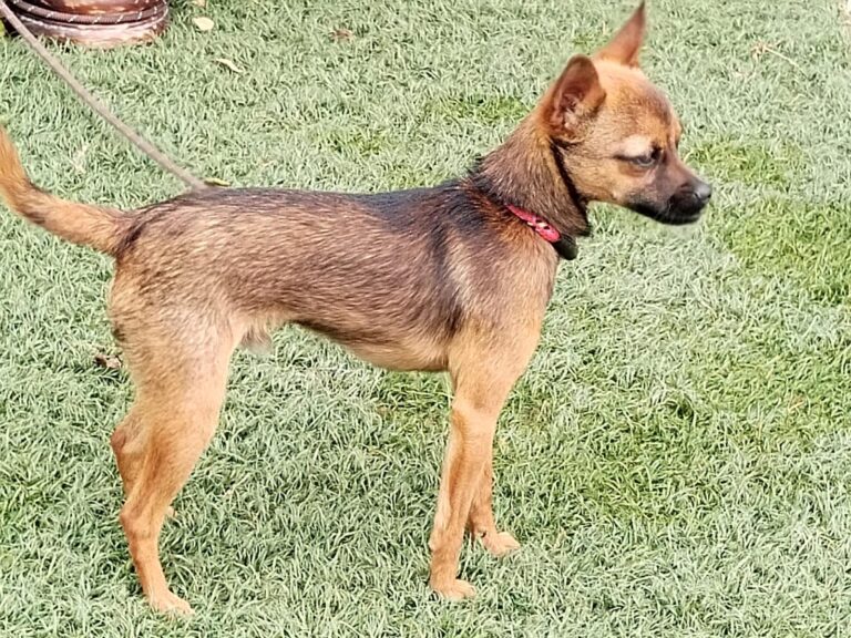 multimedia-foto89608-197-1