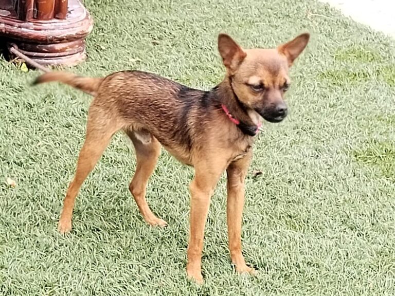 multimedia-foto89609-197-1