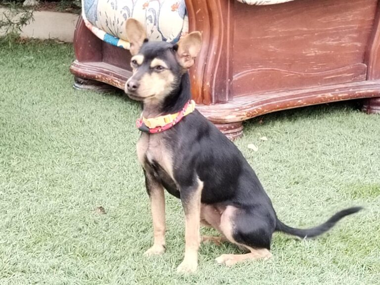 multimedia-foto89612-455-1