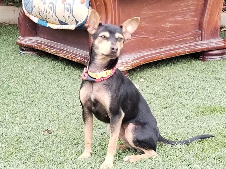 multimedia-foto89613-455-1