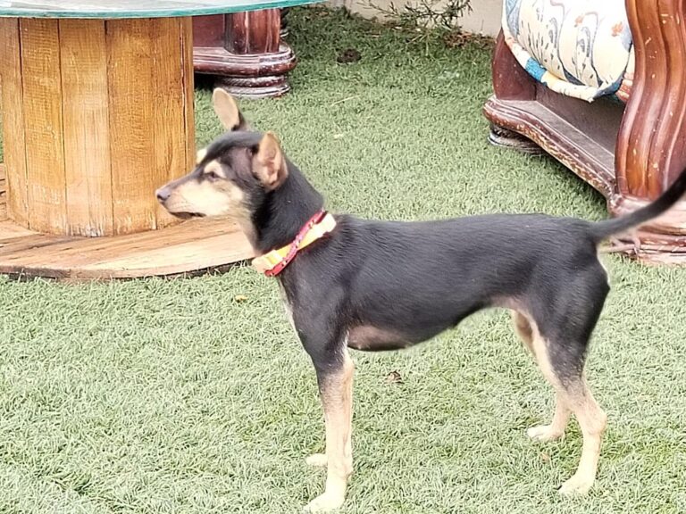 multimedia-foto89614-456-1