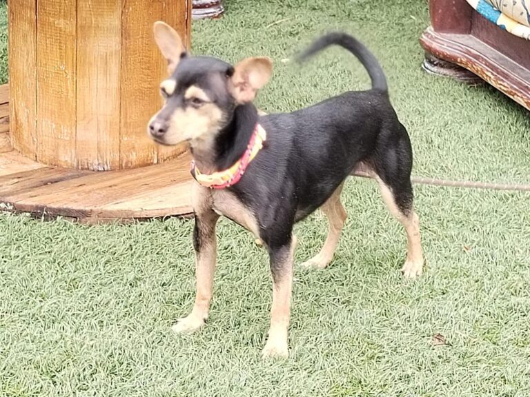 multimedia-foto89615-456-1