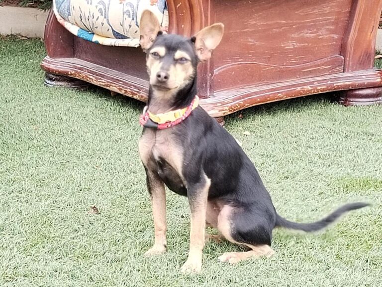 multimedia-foto89617-456-1