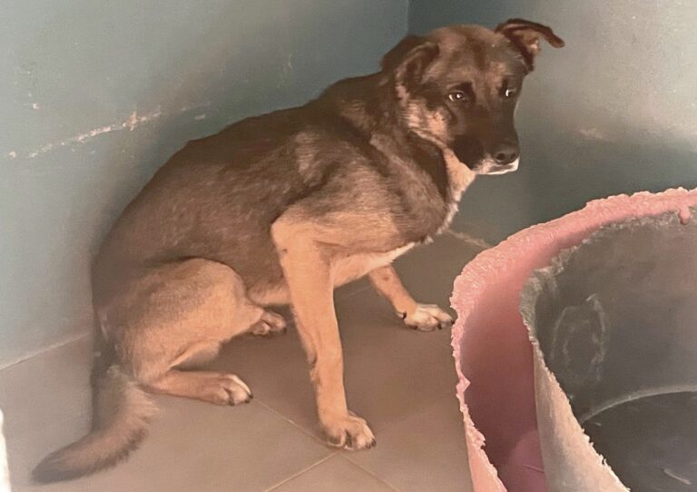 multimedia-foto89655-181-1