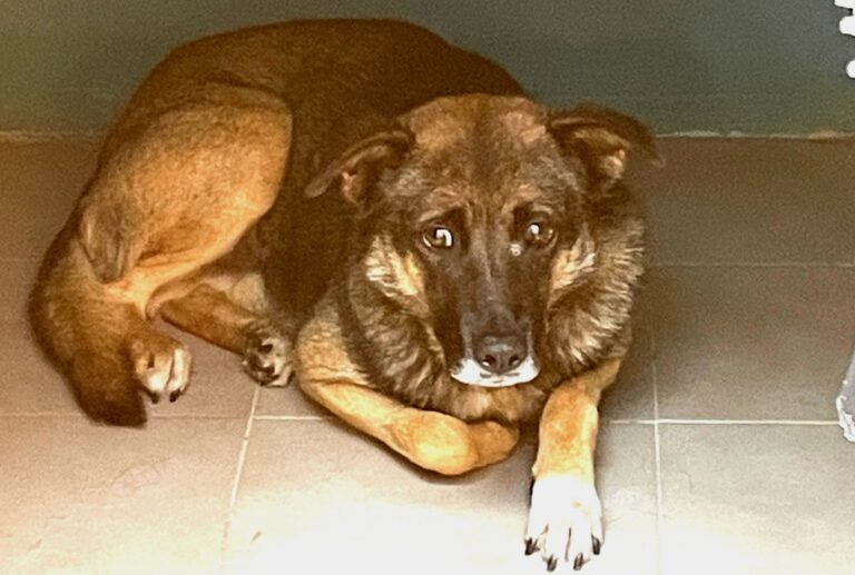 multimedia-foto89658-182-1