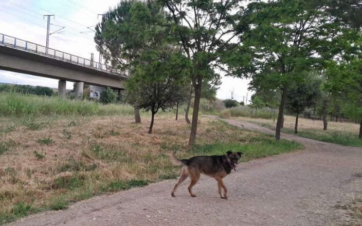 multimedia-foto89659-182-1