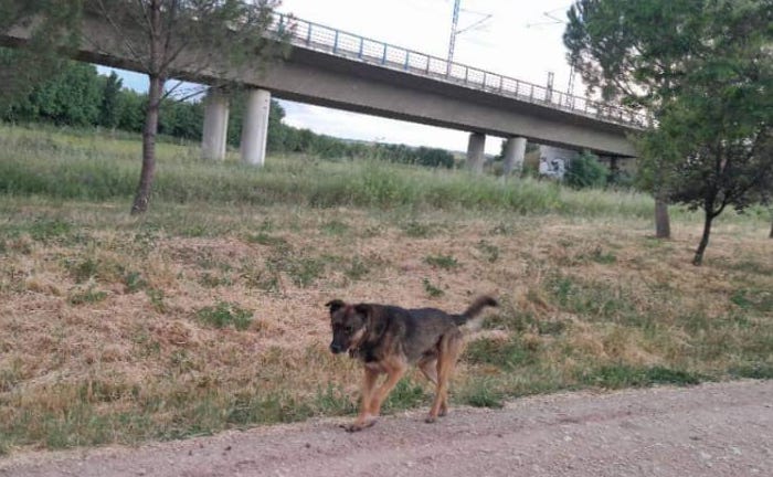 multimedia-foto89660-182-1