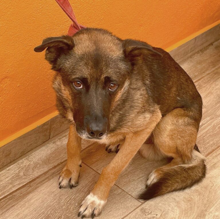 multimedia-foto89661-182-1