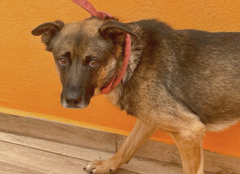 multimedia-foto89664-183-1