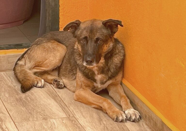 multimedia-foto89665-183-1