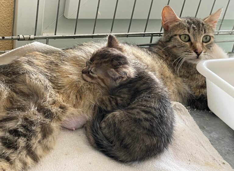 multimedia-foto89670-433-1