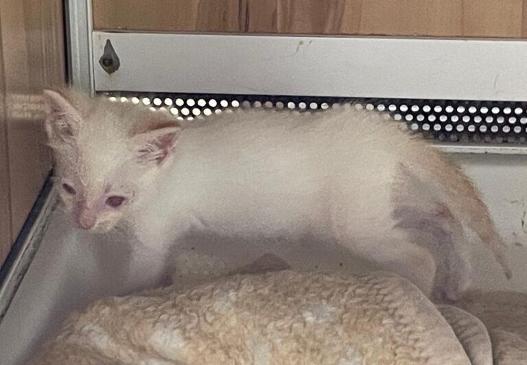 multimedia-foto89687-836-1