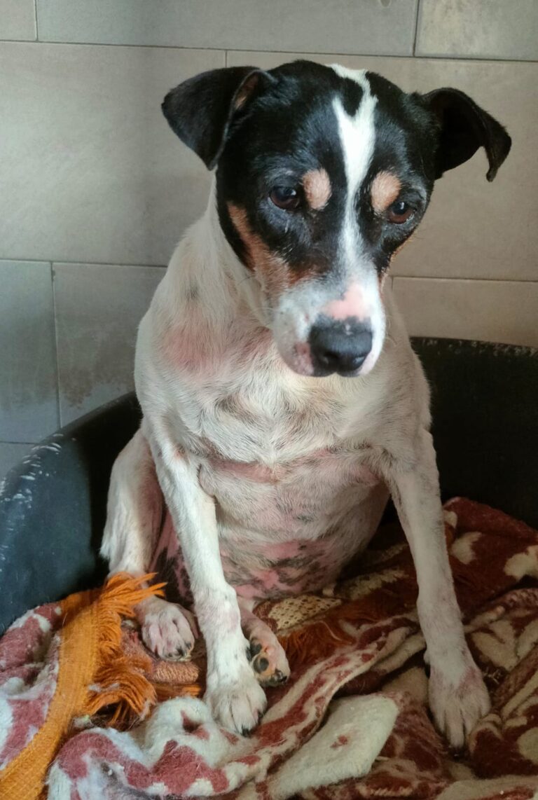 multimedia-foto89692-512-1