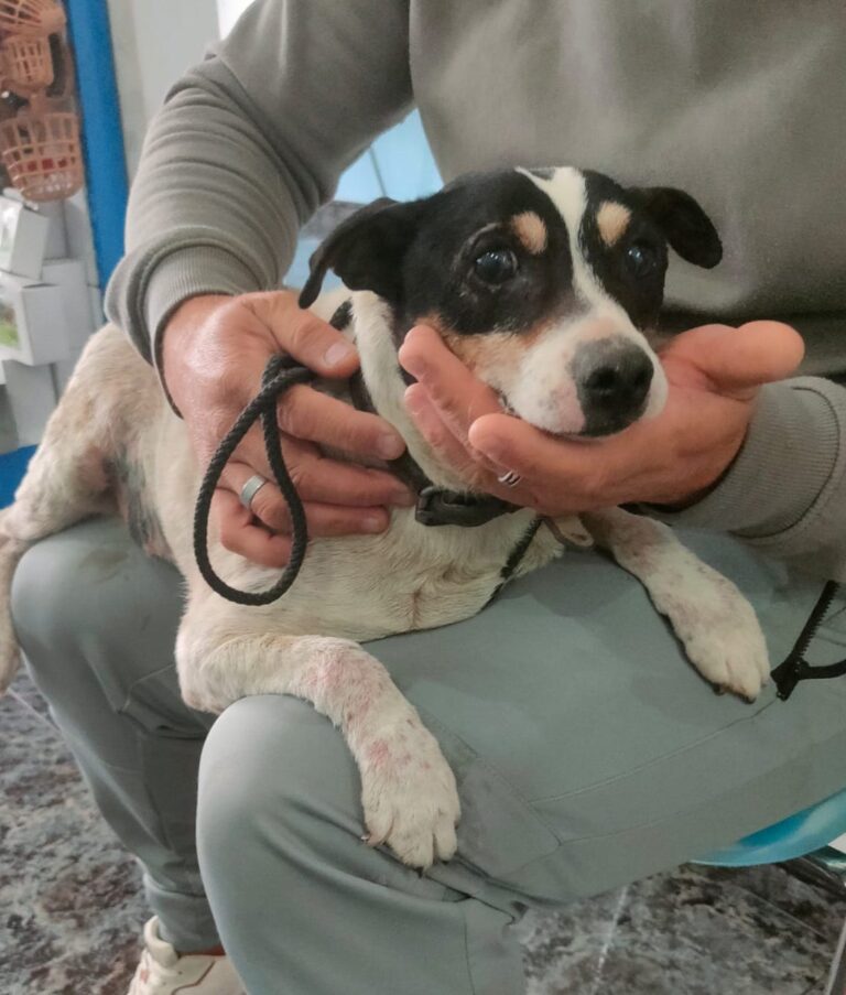 multimedia-foto89693-512-1