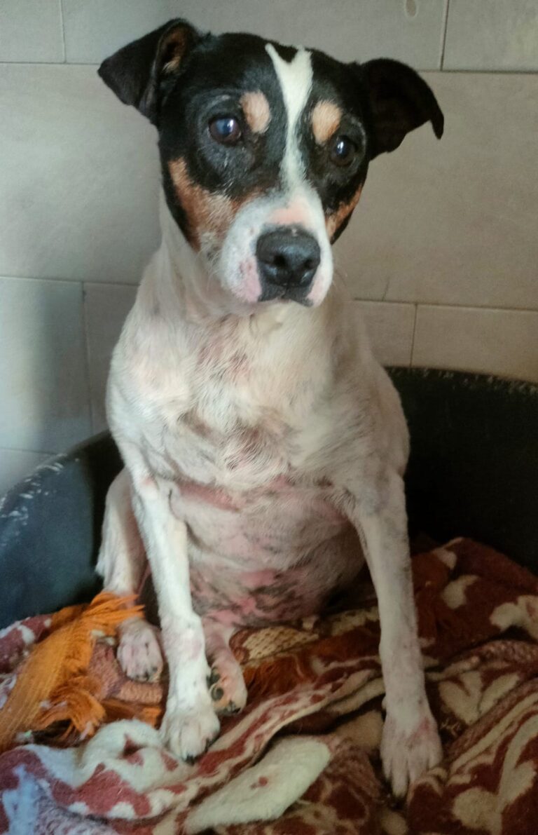 multimedia-foto89694-513-1