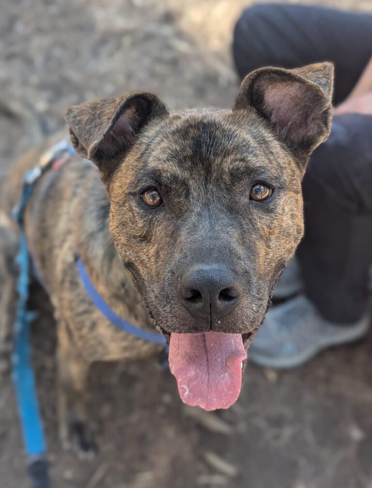 multimedia-foto89696-175-1