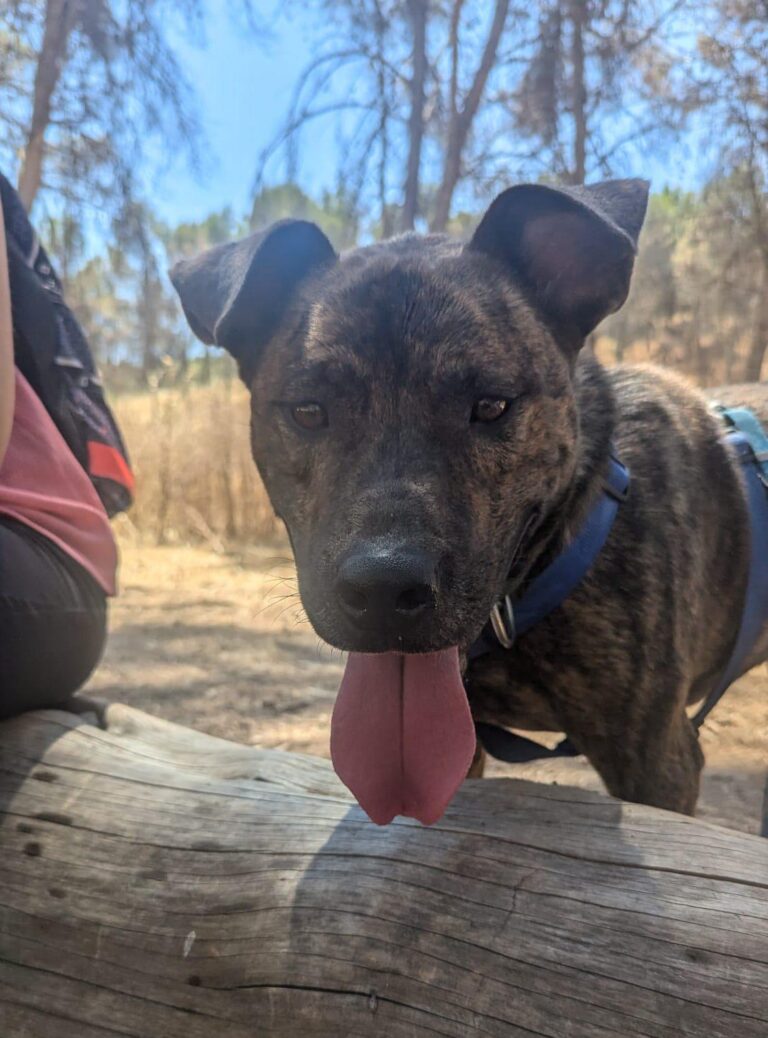 multimedia-foto89698-175-1