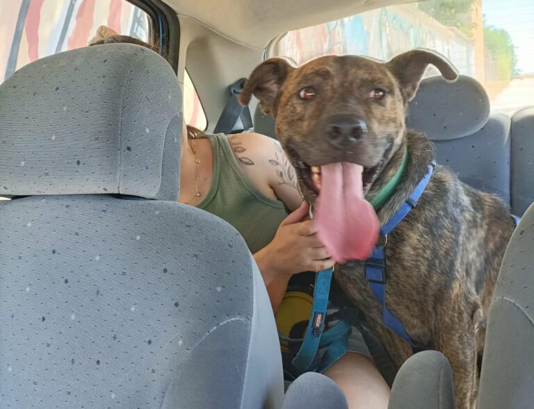 multimedia-foto89699-176-1