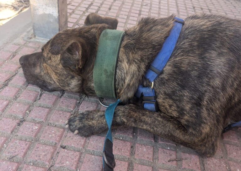 multimedia-foto89700-176-1