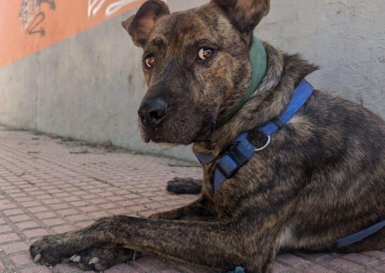 multimedia-foto89701-176-1