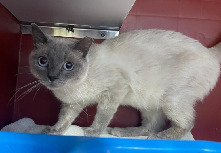 multimedia-foto89744-610-1