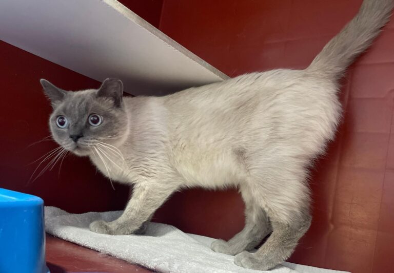 multimedia-foto89746-610-1