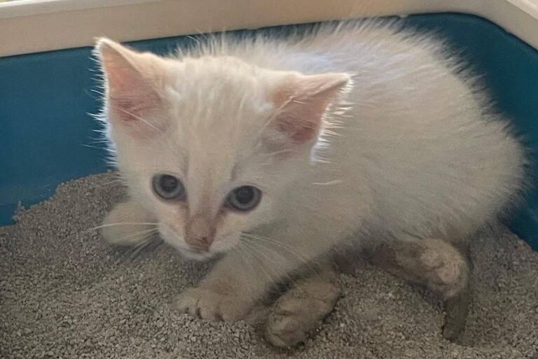 multimedia-foto89815-659-1