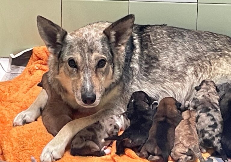 multimedia-foto89837-294-1