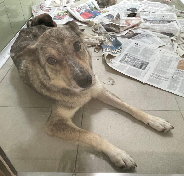 multimedia-foto89838-294-1