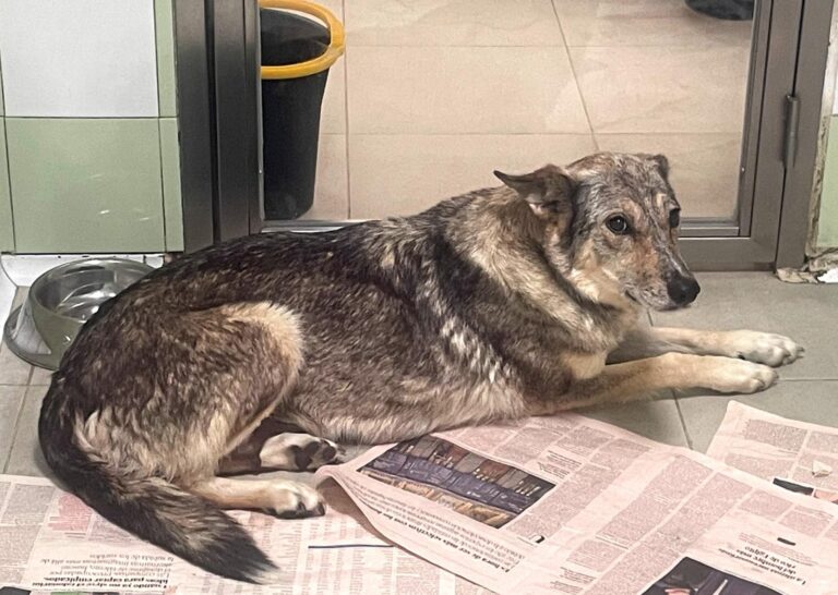 multimedia-foto89839-295-1