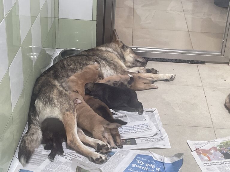 multimedia-foto89841-295-1