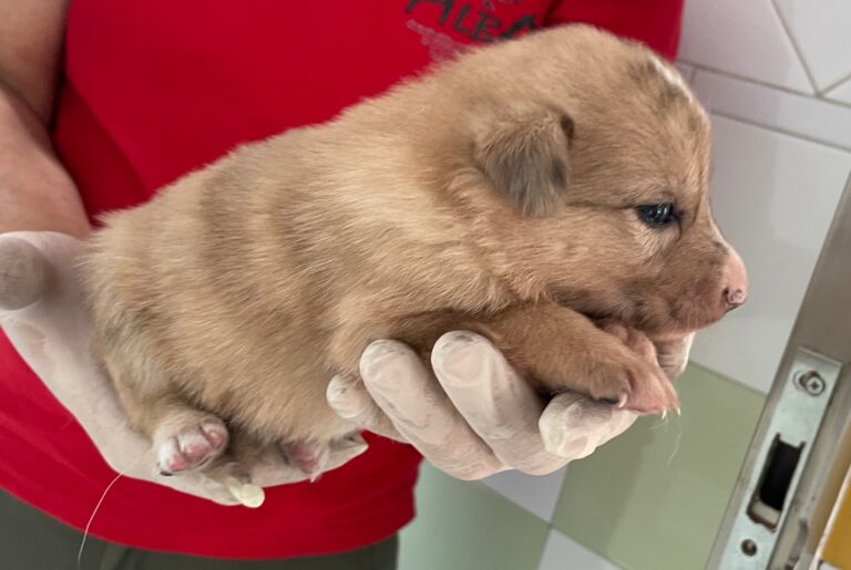 multimedia-foto89846-775-1