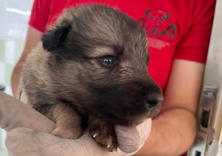 multimedia-foto89848-776-1