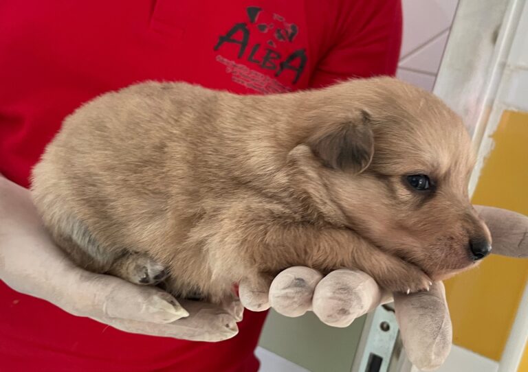 multimedia-foto89850-777-1