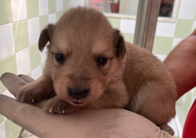 multimedia-foto89851-777-1