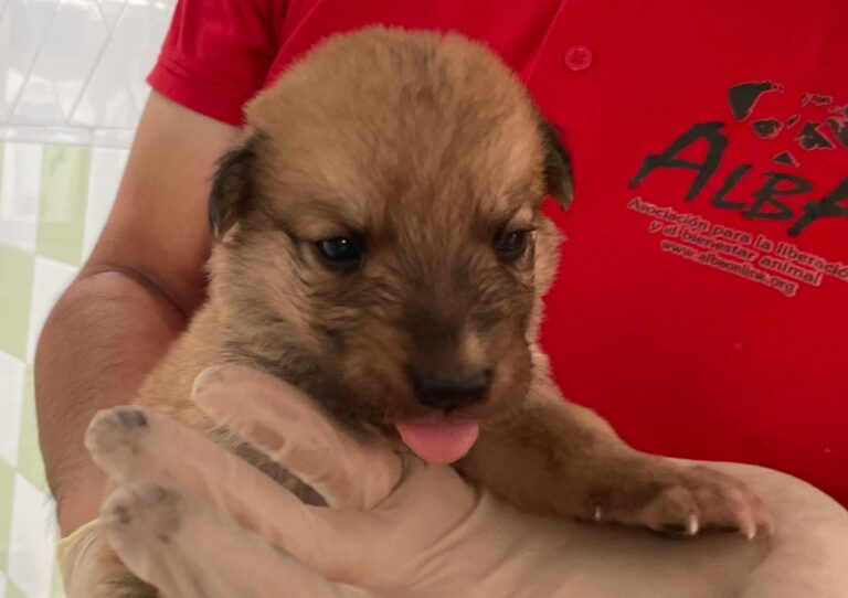 multimedia-foto89852-778-1