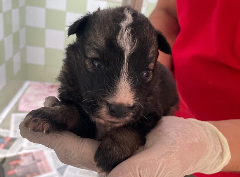 multimedia-foto89858-957-1